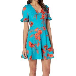 Ted Baker London Fantasia V Neck Skater Dress